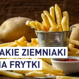 Złociste frytki w metalowym wiaderku i obok surowe ziemniaki. Idealne ziemniaki na frytki to podstawa chrupiącej przekąski.