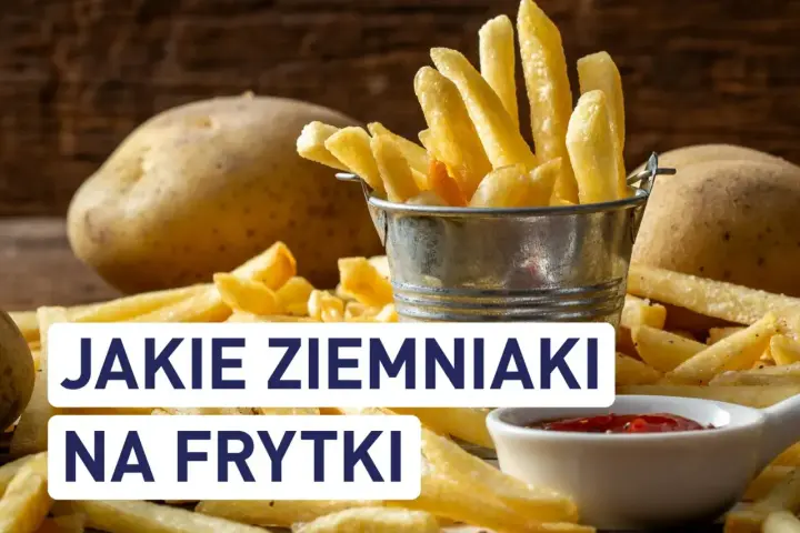 Złociste frytki w metalowym wiaderku i obok surowe ziemniaki. Idealne ziemniaki na frytki to podstawa chrupiącej przekąski.